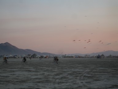 Kite farm